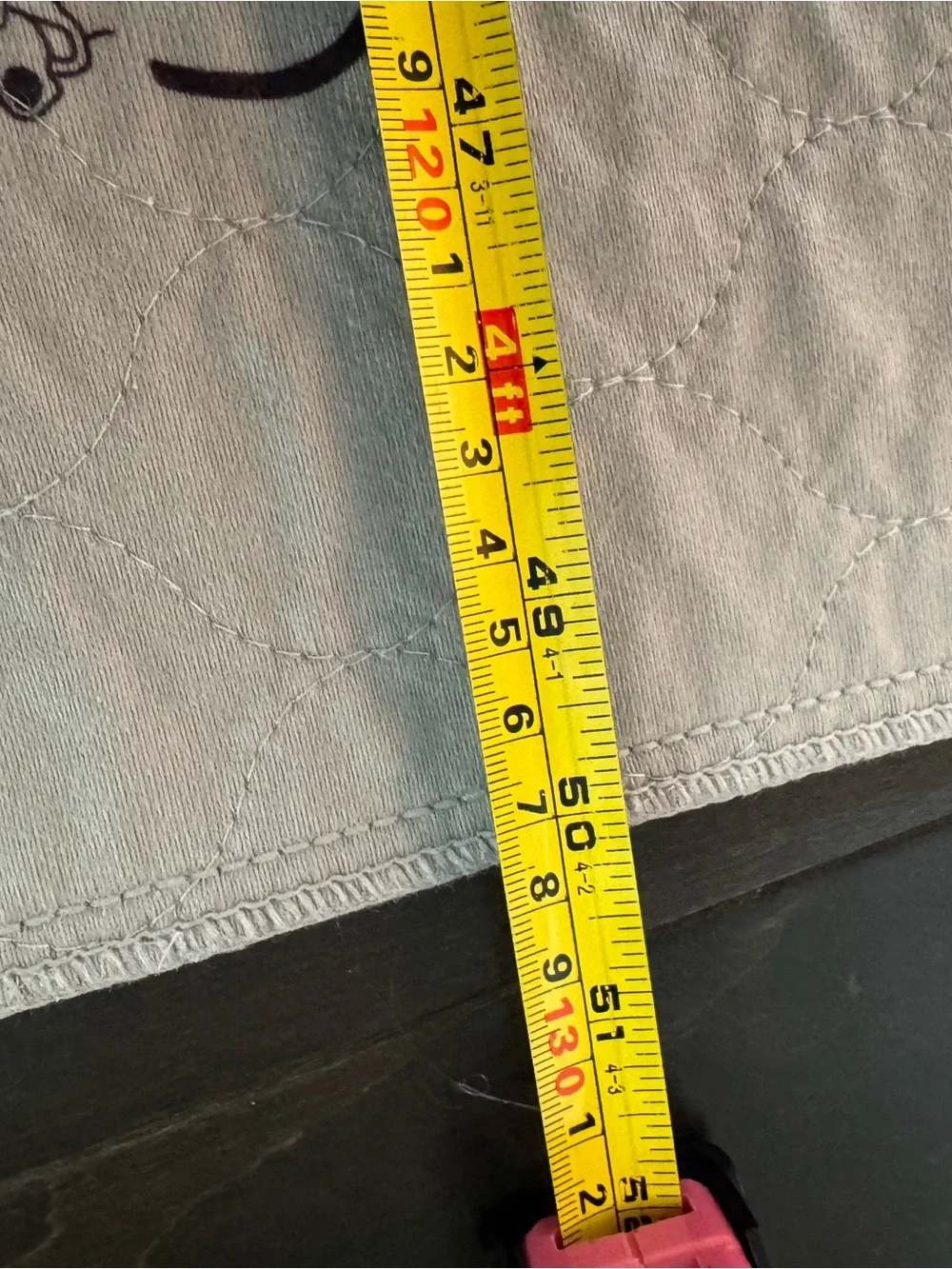 EZ Whelp Puppy Training Pad- 50x72in